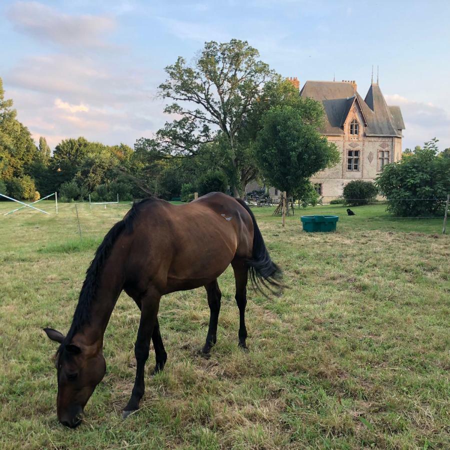 Manoir De La Chouanniere Villa Montreuil-sur-Maine Bagian luar foto